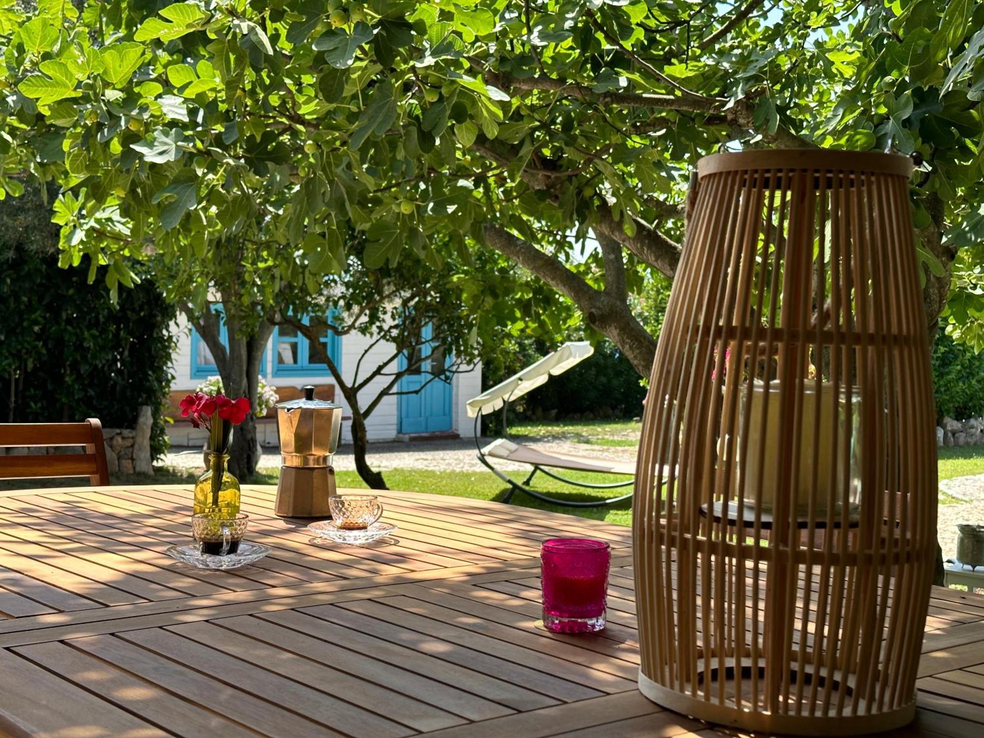 Villa Niloan Ольбия Экстерьер фото