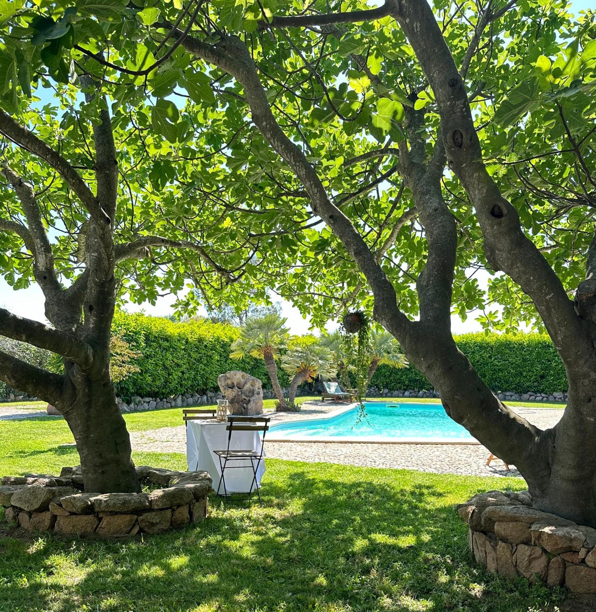 Villa Niloan Ольбия Экстерьер фото